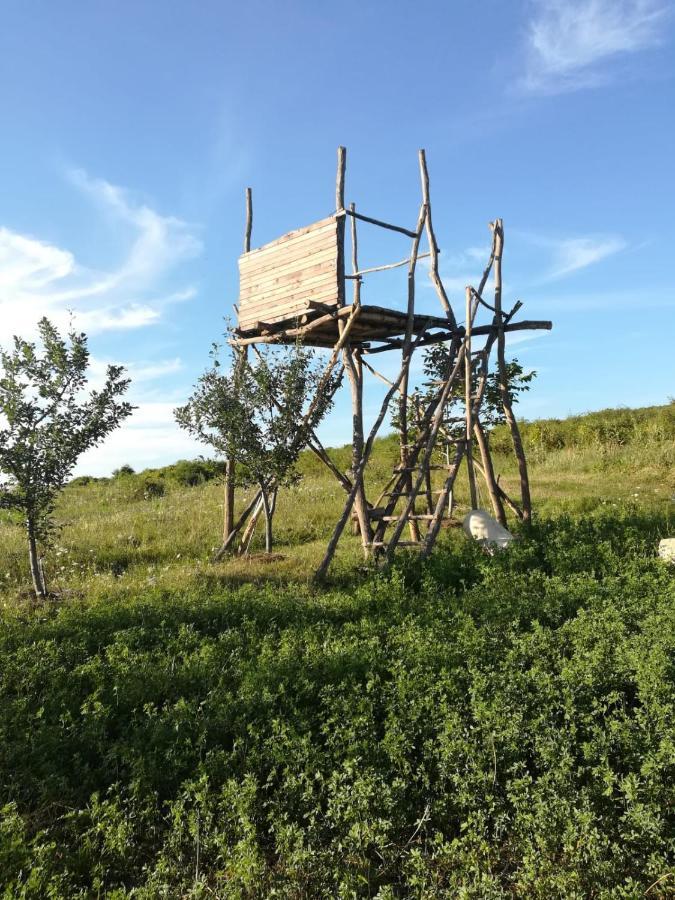 Pensiunea Agroturistica Casa Sirca Boghis Екстер'єр фото